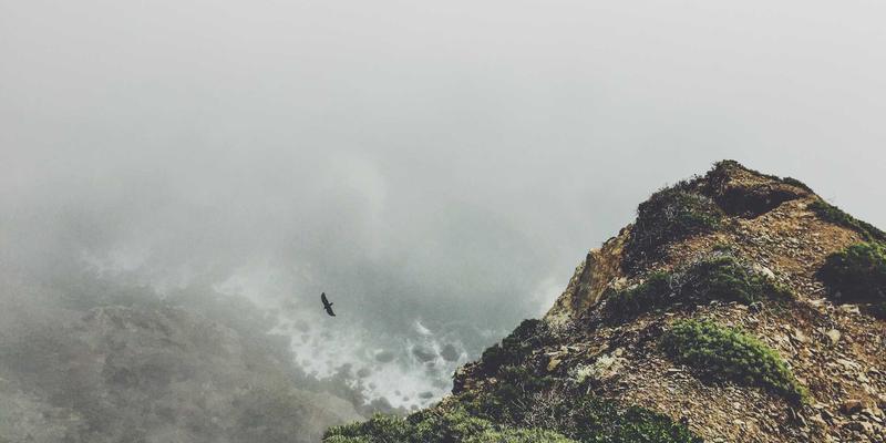 上海长联律师事务所:深耕设备生产与工业解决方案领域,高胜诉率背后的专业密码