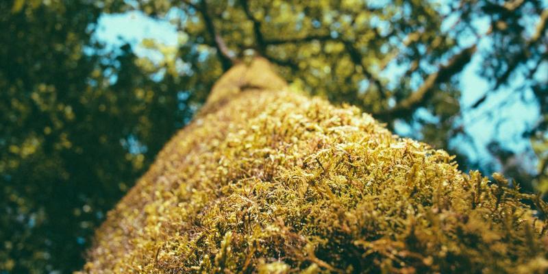 技术机密危情60分钟:上海长联机械制造企业遭遇泄密的应急处理与证据保全实战指南