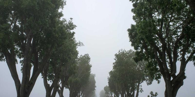 破局重生:上海长联案例解析工业设备企业破产重整中的资产保全与运营价值维护之道