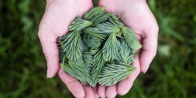 筑牢发展根基：工业设备企业如何构建合规供应链管理体系，有效防范上下游风险